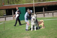 Reichshof 2019 Reichshof 2019