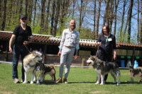 Reichshof 2019 Reichshof 2019